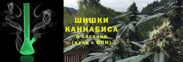 шишки Белокуриха