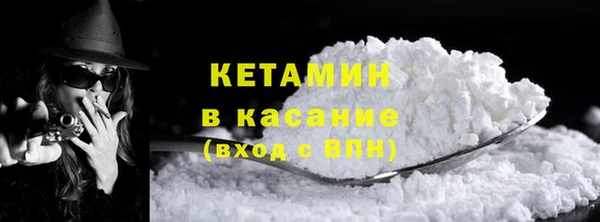 шишки Белокуриха