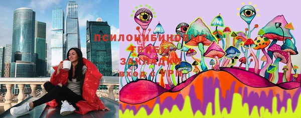 шишки Белокуриха