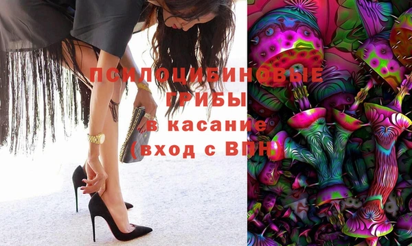 прущие крисы Белоозёрский