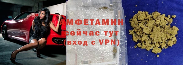 шишки Белокуриха