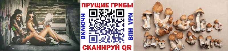 Галлюциногенные грибы Psilocybine cubensis  где купить наркоту  Называевск 